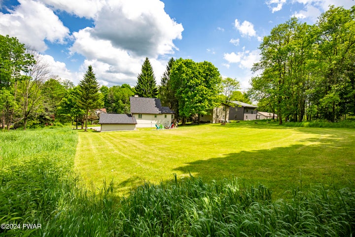 Spacious Grassy Backyard