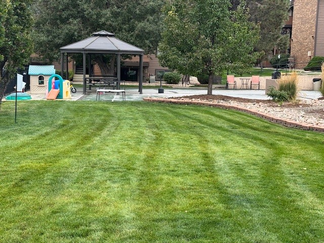 Gazebo next to swimming pool