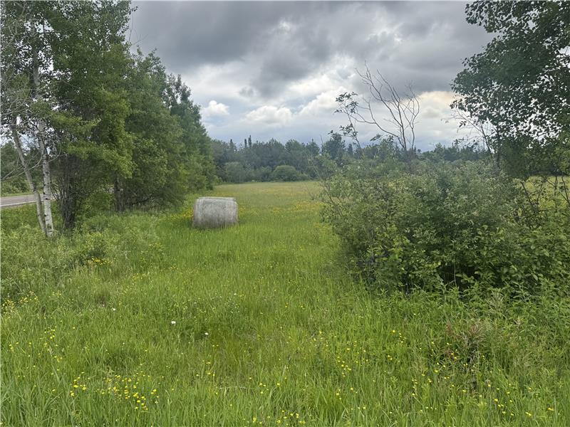 
                            Property Image 56