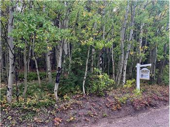 34251 Skyline Drive, Golden, CO