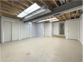 3431 Tyson - Basement