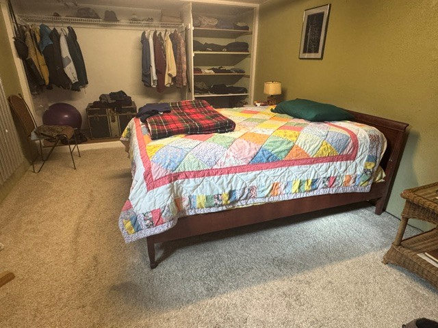 Basement bedroom (used as primary)
