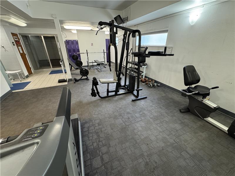 Another view of men's fitness equipment