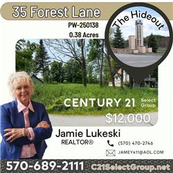 35 Forest Lane, Lake Ariel, PA