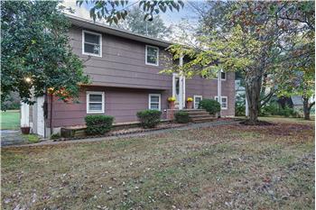 Primary listing photos for listing ID 555409