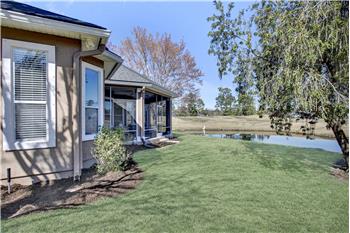 Rear of Home
