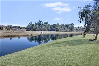 Gorgeous view of the pond