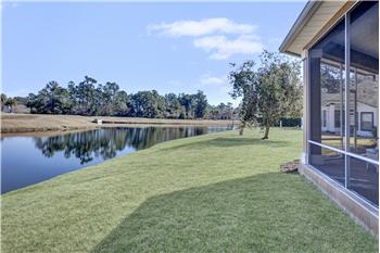 Backyard view