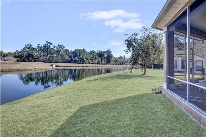Backyard view