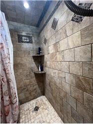 Updated Bath Shower