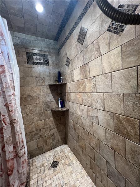 Updated Bath Shower