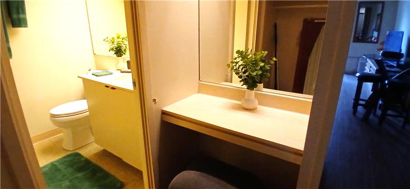 Vanity Area
