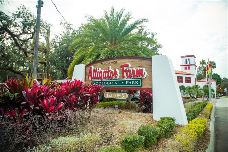 Alligator Farm (short walk)