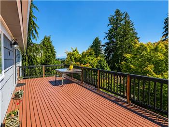 Enormous back deck and it's small in the photo but that's Mt Baker in the background just to the left of the yellow vase.