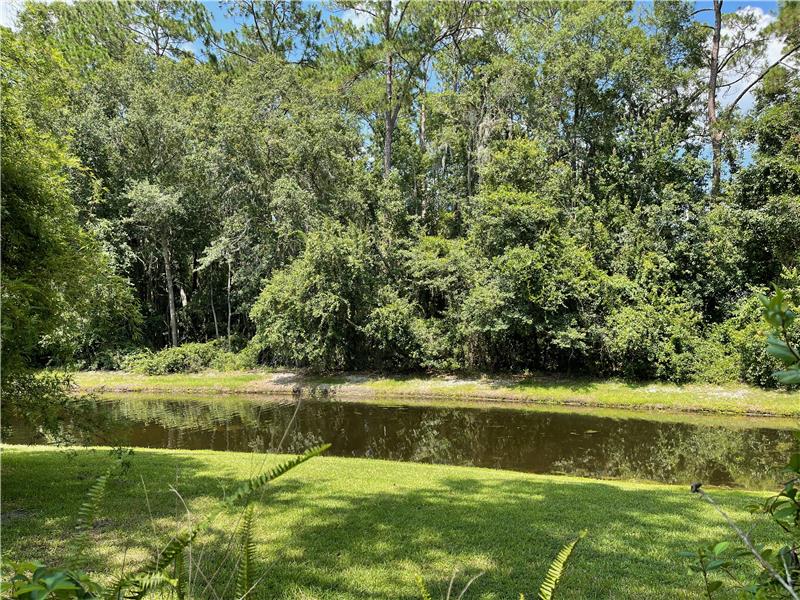 Peaceful Natural Setting