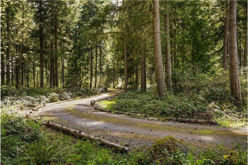 Your private driveway hints at the seclusion and privacy of this home. None of the home is visible from the community road.