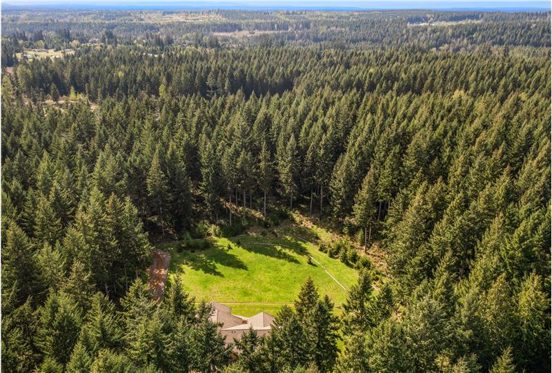 Looking West across the treetops