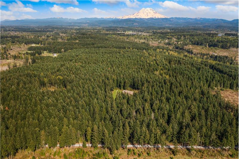 Looking East toward Mt Rainier. Community road visible at the bottom of the picture