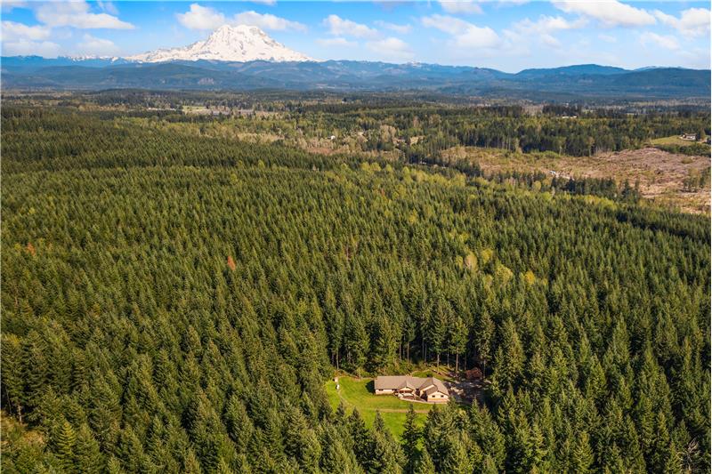 Looking slightly Southwest, you'll notice this home is truly surrounded by nature.