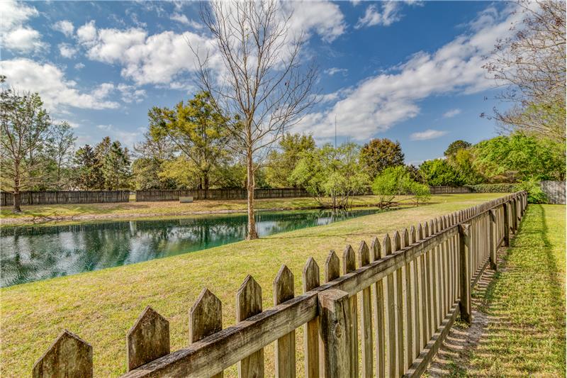Pond View from BackYard