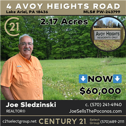 4 Avoy Heights Road, Lake Ariel, PA