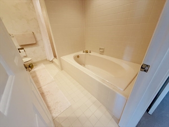 Main Bath Soaking Tub