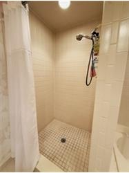 Main Bath Shower