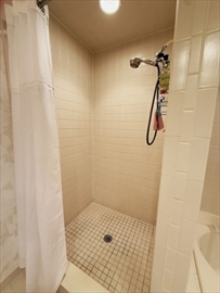 Main Bath Shower