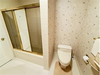 Full Bath Shower
