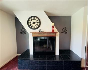 Basement Family Room Fireplace