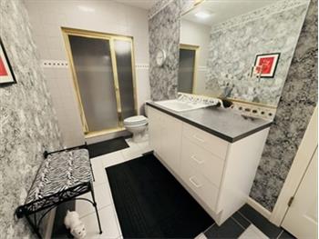 Basement Full Bath Shower