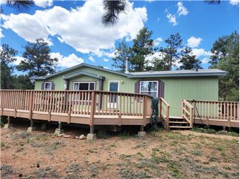 400 Pikes Peak Ln, Florissant, CO