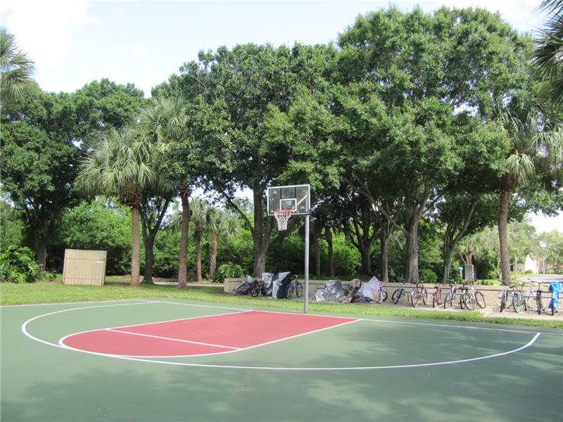 Basketball Court