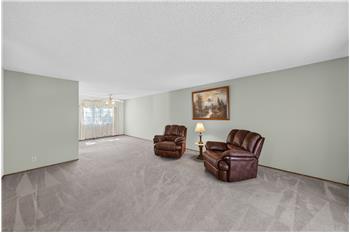 Spacious Living Room