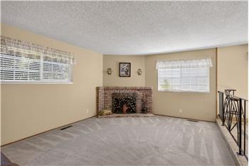 Family Room - Wood-Burning Fireplace