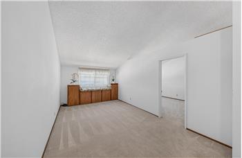 Huge Bonus Room - Vaulted Ceiling