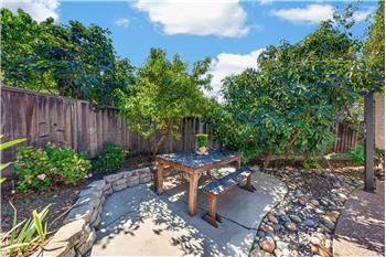 Backyard Picnic Bench