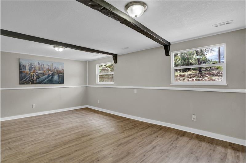 Lower Level Family Room