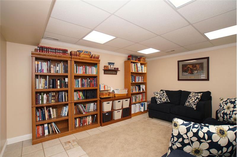 Media room lower level