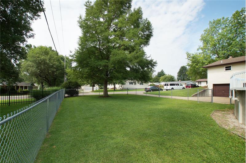 Back yard