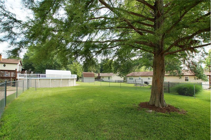 Back yard