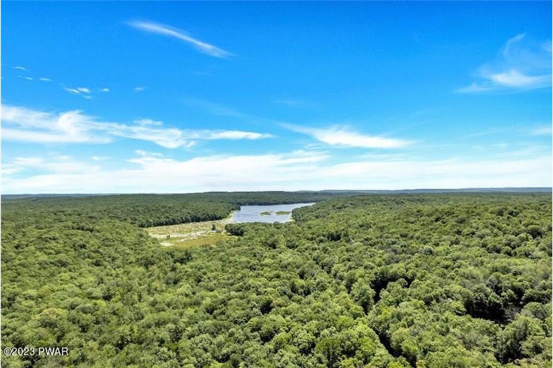 Forested Cobbs Lake Preserve