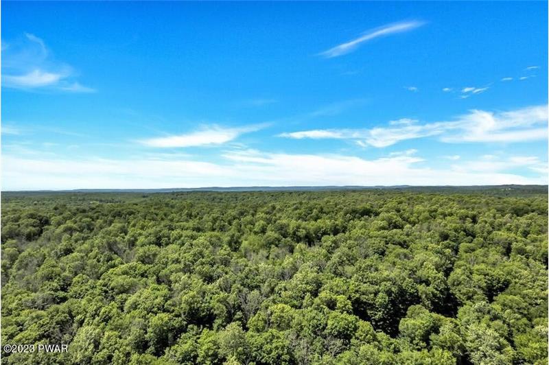 Forested Cobbs Lake Preserve