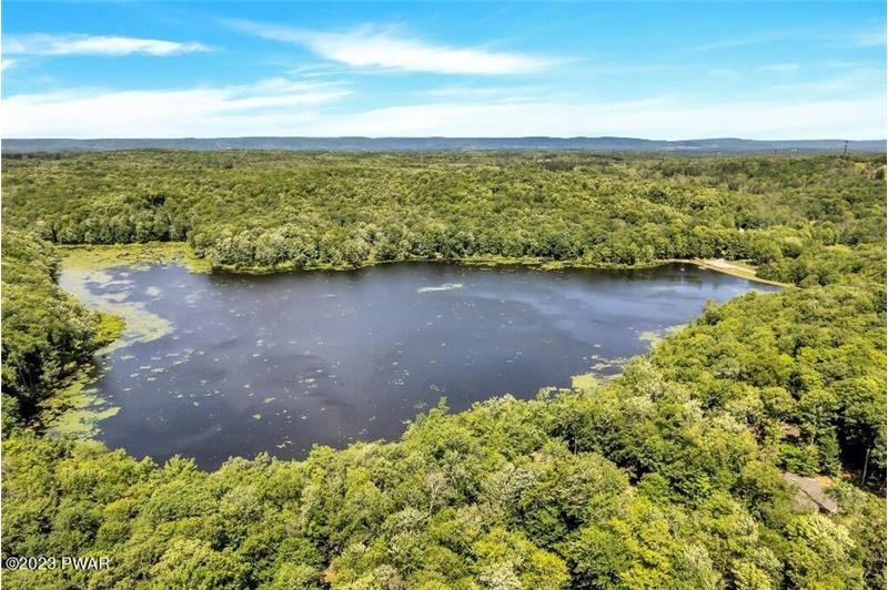 Forested Cobbs Lake Preserve