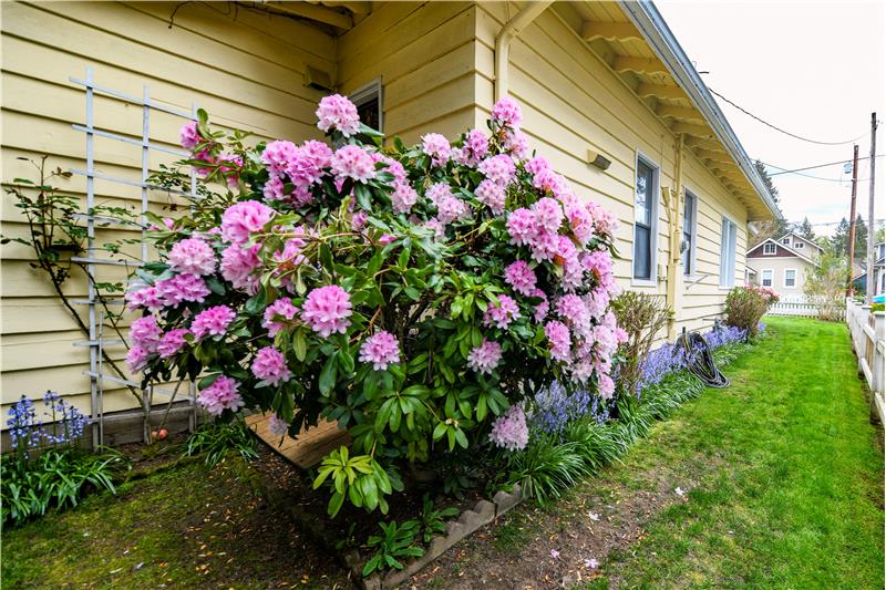 South side of home.
