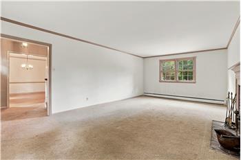 427 Old Eagle School Rd - Living Room