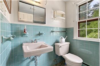 427 Old Eagle School Rd - Bathroom
