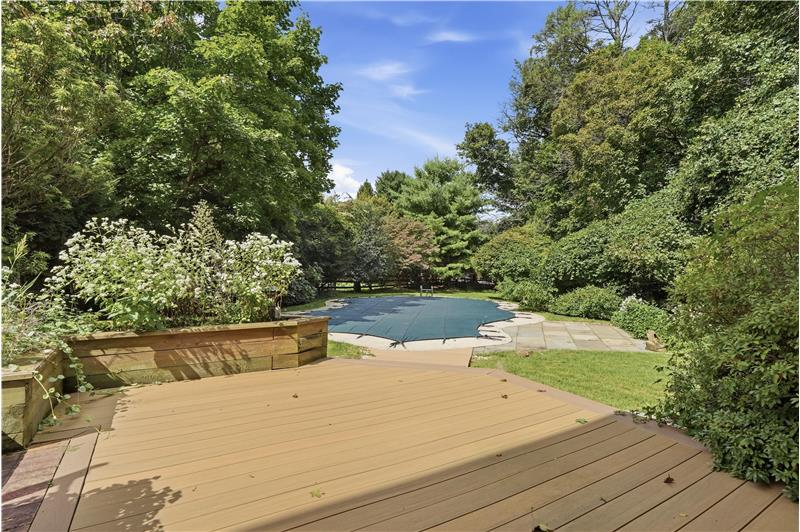 427 Old Eagle School Rd - Pool view