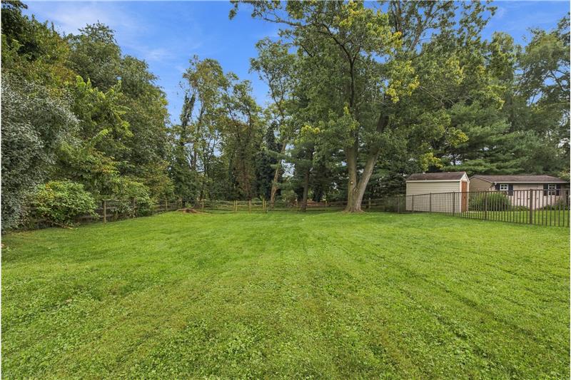 Fenced Backyard