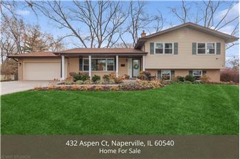 432 Aspen Ct, Naperville, IL